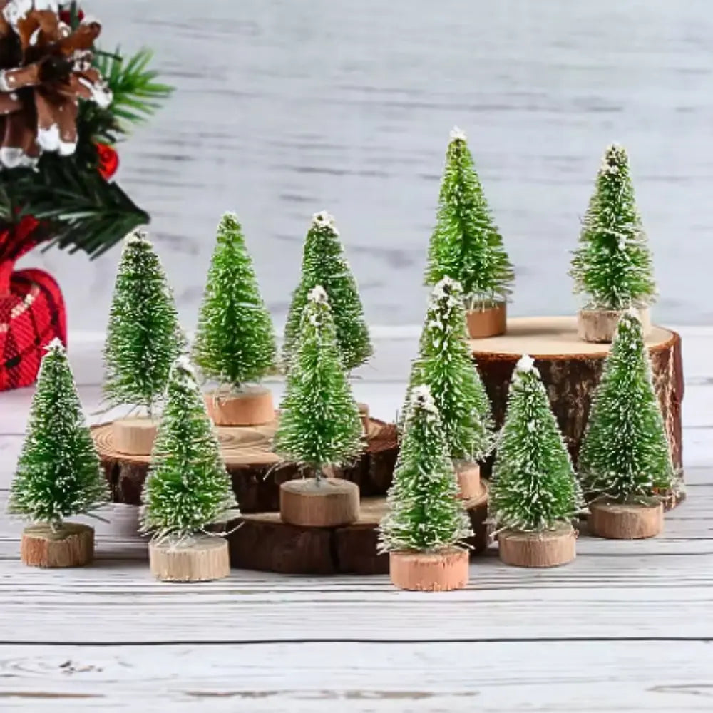 Sapin_miniature_en_situation